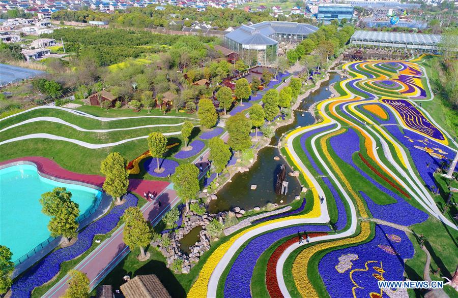 Jiangsu : les magnifiques paysages de fleurs épanouies de Nantong