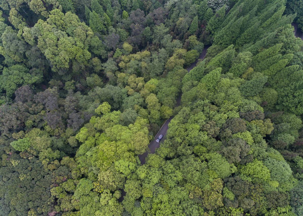 Le nouveau look de Ya'an, ville frappée par un séisme en 2013