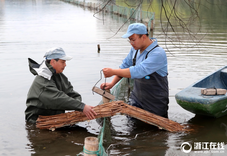 Un pont de la compassion pour les canards du lac de l'Ouest