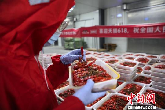 Coupe du Monde : les nouveaux métiers du numérique à l'honneur