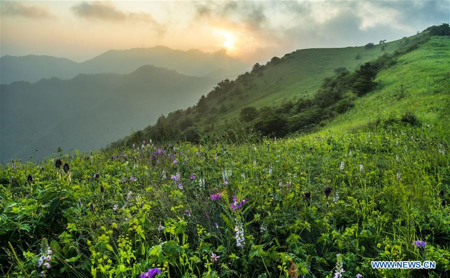 Paysage de montagne dans le nord-ouest de la Chine