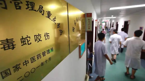 Une femme mordue par un serpent acheté en ligne en état de mort cérébrale