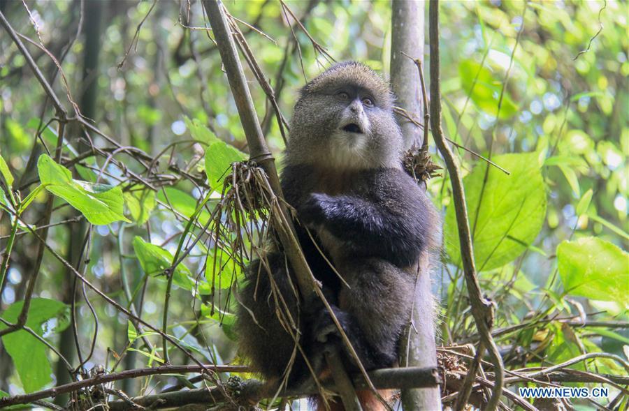 De beaux paysages d'Afrique