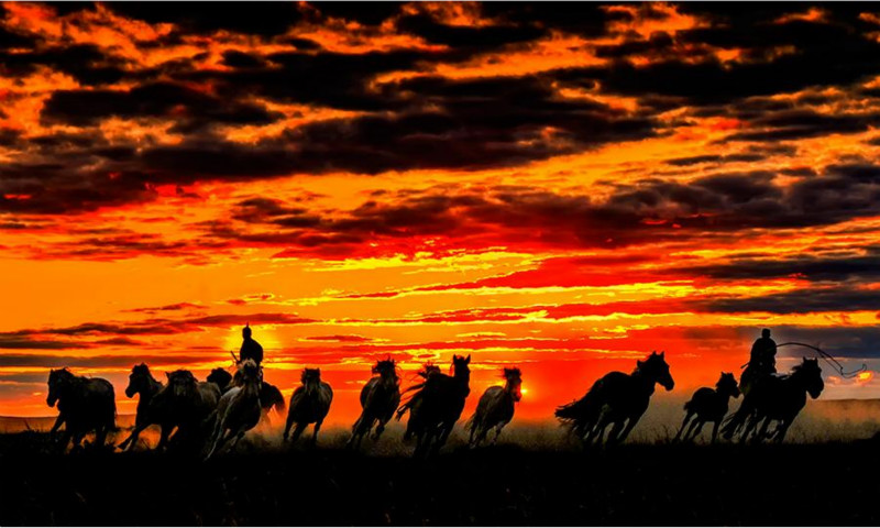 Coucher de soleil en automne sur les prairies de Mongolie intérieure