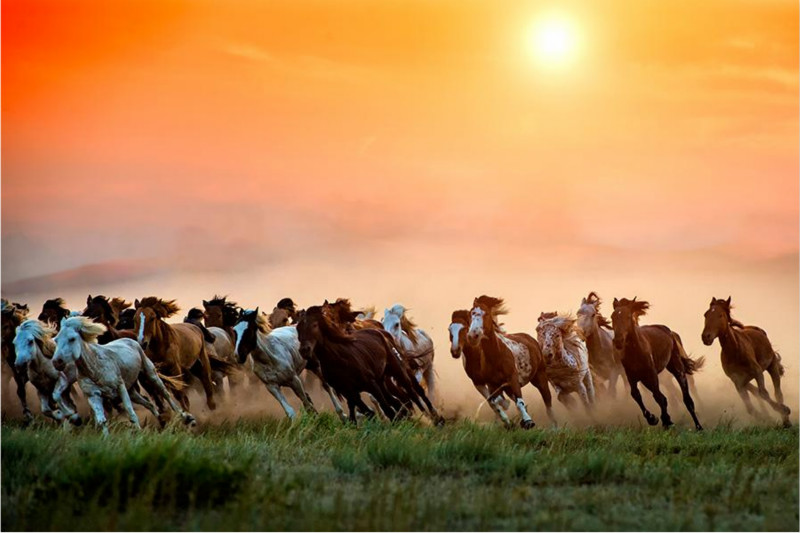 Coucher de soleil en automne sur les prairies de Mongolie intérieure