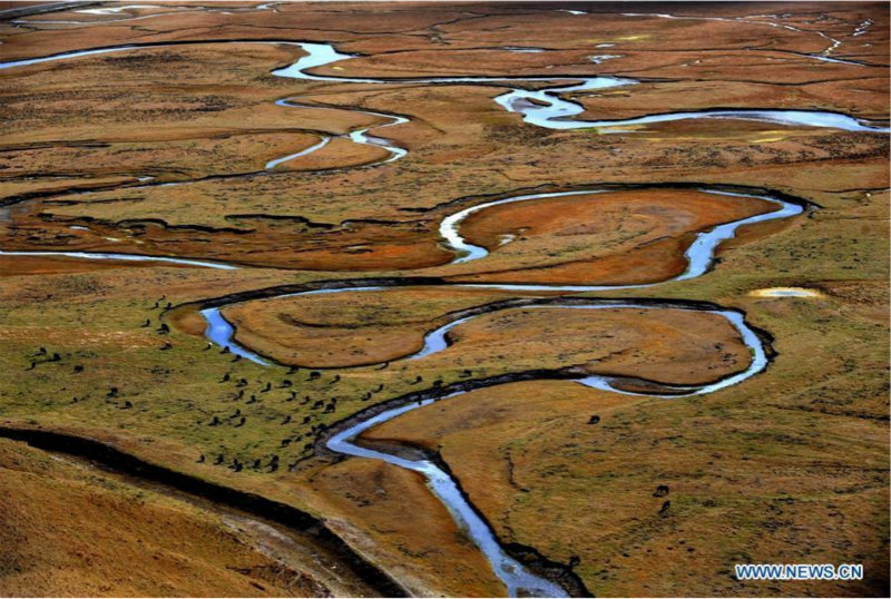 Chine: une transition vers l'économie verte pour faire face au changement climatique