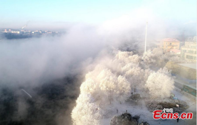 Rivière Songhua : le meilleur moment pour admirer le paysage de givre