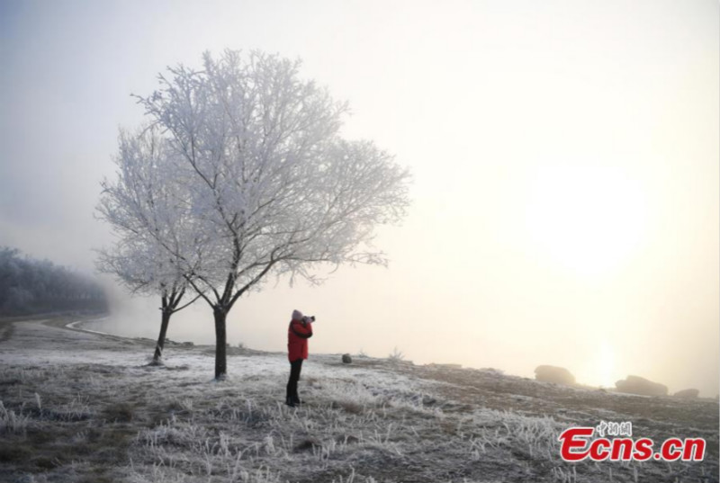 Rivière Songhua : le meilleur moment pour admirer le paysage de givre