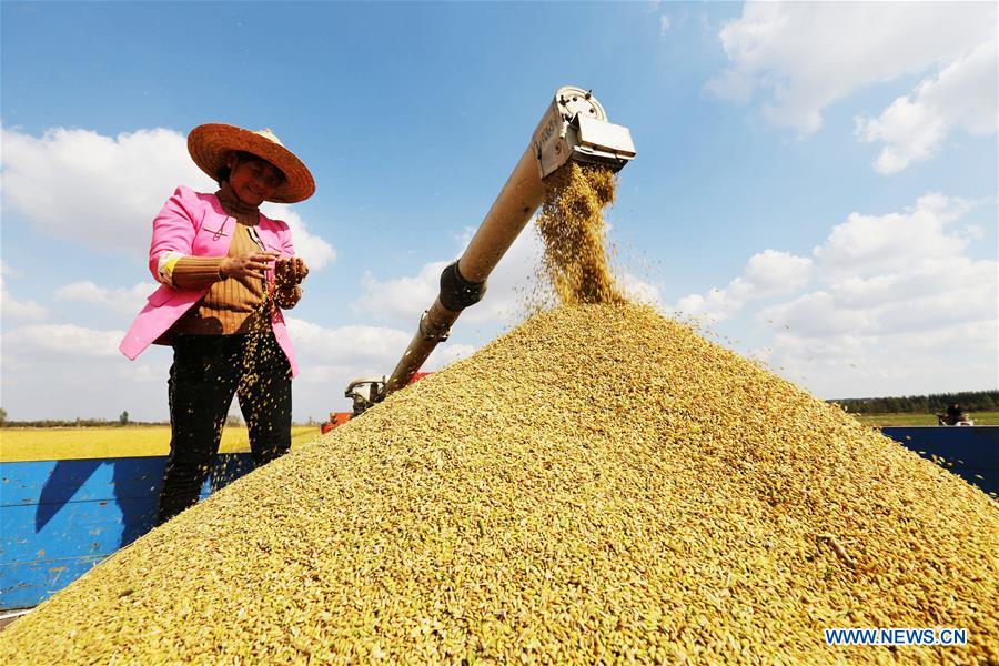 L'économie chinoise a progressé de 6,6% en 2018