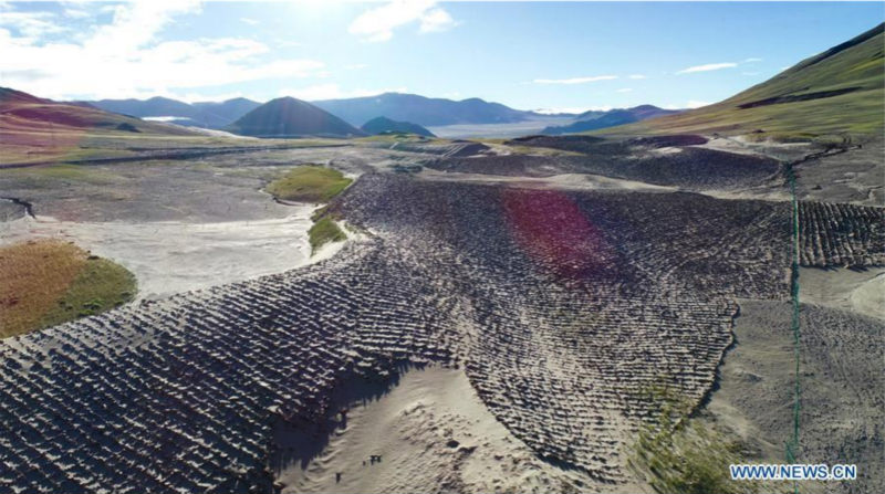 La Chine recherche une meilleure coordination entre développement économique, développement social et civilisation écologique