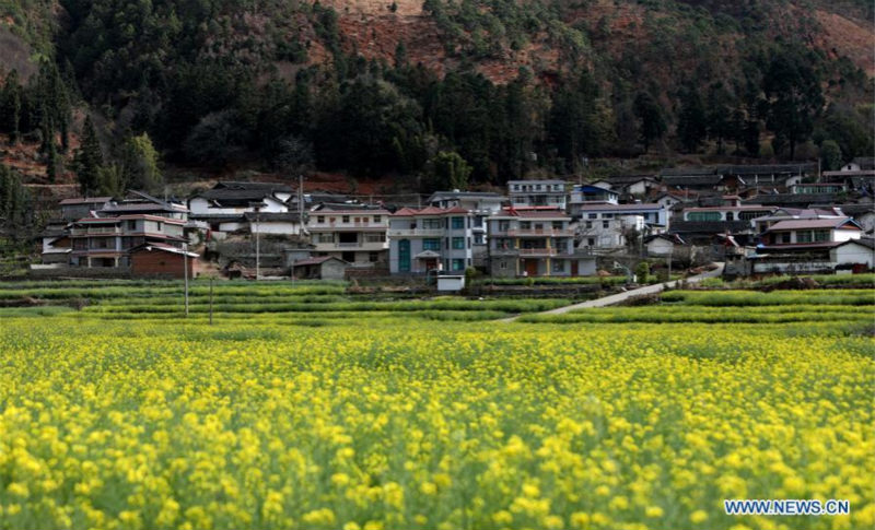 La Chine recherche une meilleure coordination entre développement économique, développement social et civilisation écologique