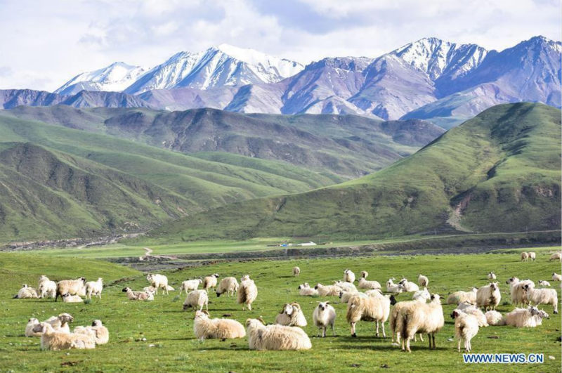 La Chine recherche une meilleure coordination entre développement économique, développement social et civilisation écologique