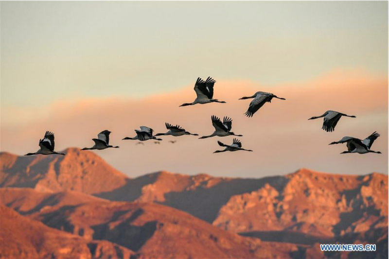 La Chine recherche une meilleure coordination entre développement économique, développement social et civilisation écologique