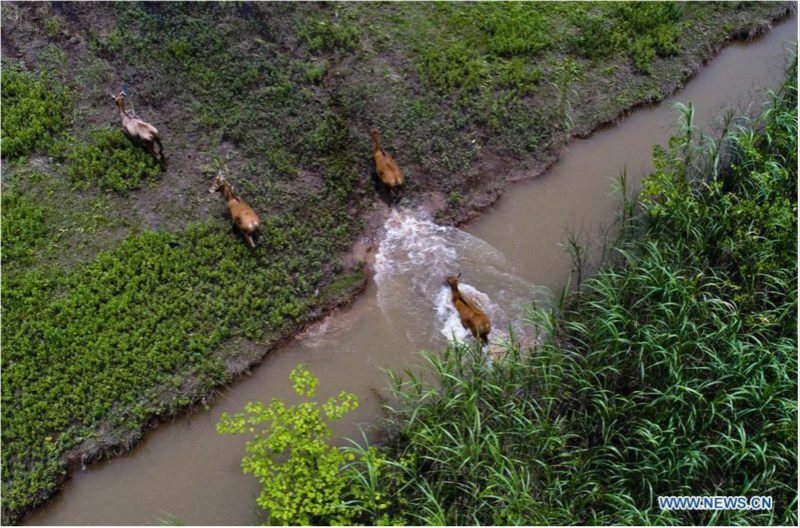 La Chine recherche une meilleure coordination entre développement économique, développement social et civilisation écologique
