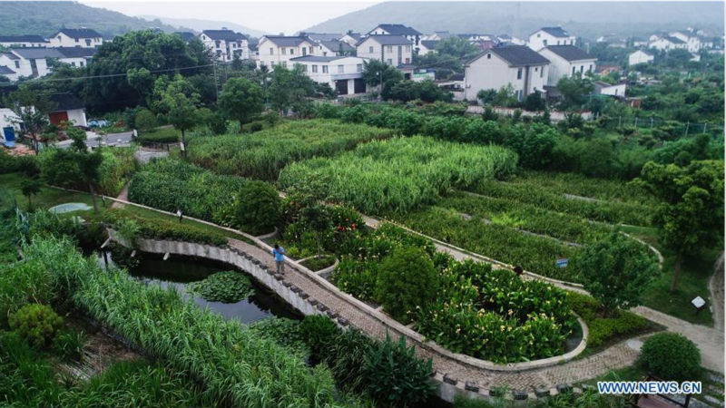 La Chine recherche une meilleure coordination entre développement économique, développement social et civilisation écologique