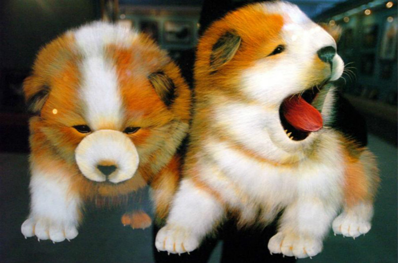 Anhui : un artiste crée d'incroyables peintures en coton