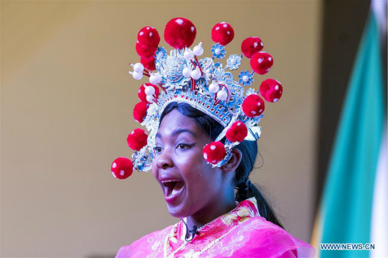 Afrique du Sud : lancement de la Journée de la langue chinoise