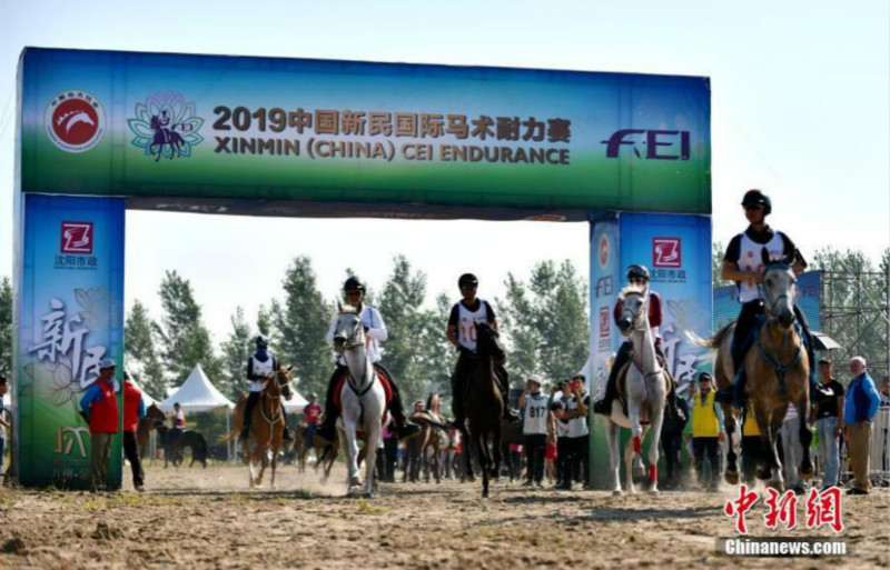 Concours d'endurance équestres organisés dans le nord-est de la Chine