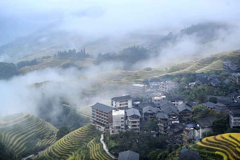 Les rizières dorées du sud de la Chine attirent les touristes