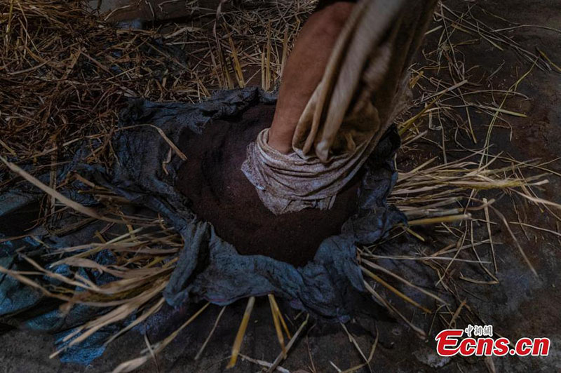 Comment fabriquer de l'huile de colza de manière traditionnelle ?