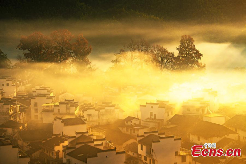 Jiangxi : les paysages au début d'hiver dans le comté de Wuyuan