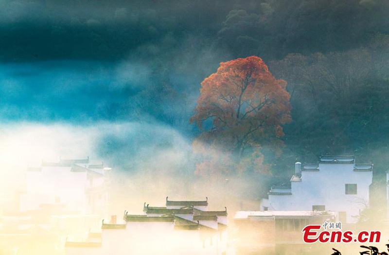 Jiangxi : les paysages au début d'hiver dans le comté de Wuyuan