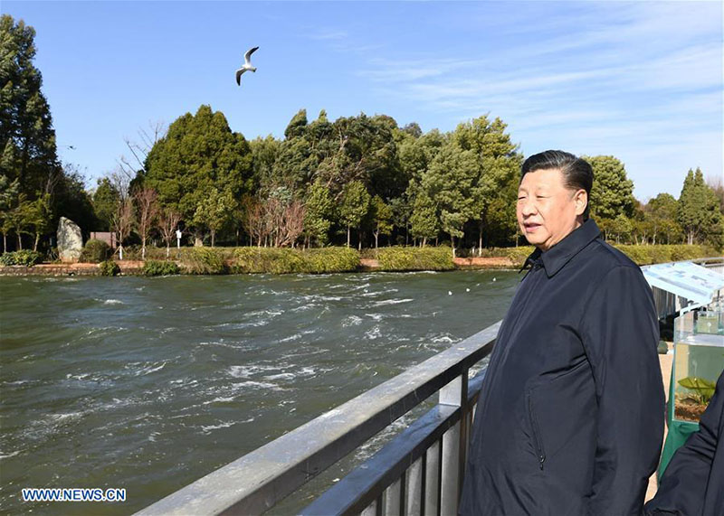 Xi Jinping inspecte la zone humide écologique du lac Dianchi
