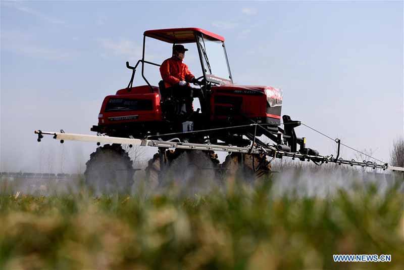 Les agriculteurs chinois reprennent la production