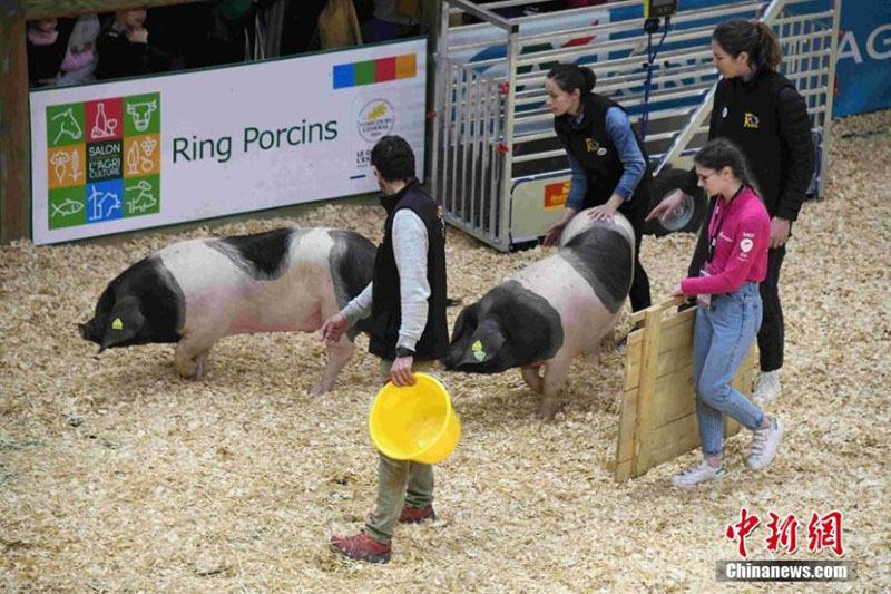 France?: ouverture de la 57e édition du Salon de l'agriculture à Paris