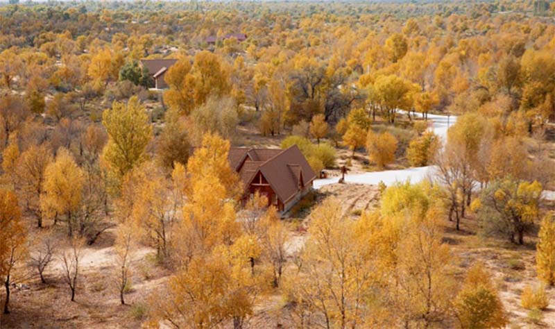 Dans le comté de Yanchi dans la province du Ningxia en Chine, les zones humides émergent au milieu du désert