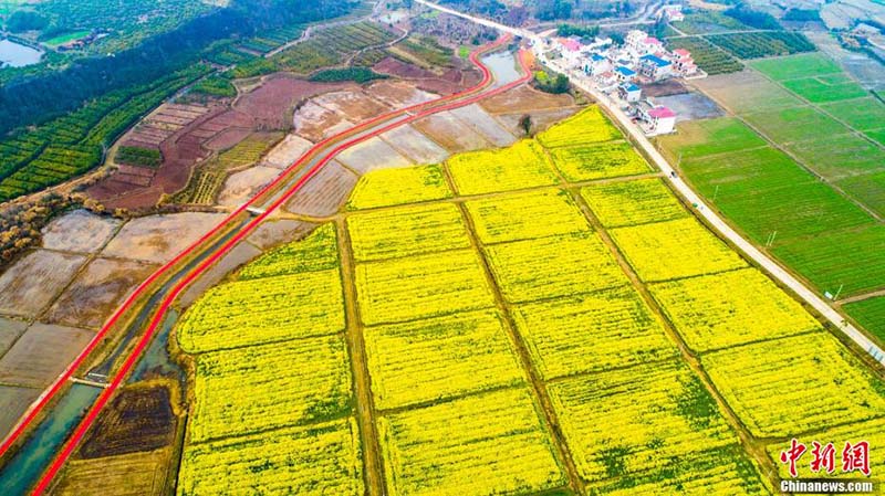 Le ? grenier du Jiangxi ? de Hukou vu du ciel