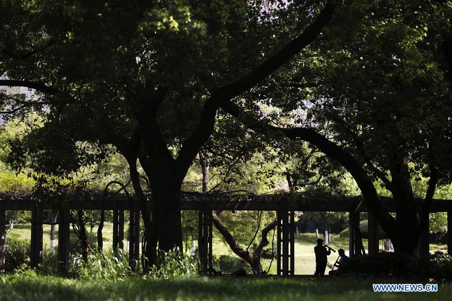 Chine : mélomanes à Wuhan