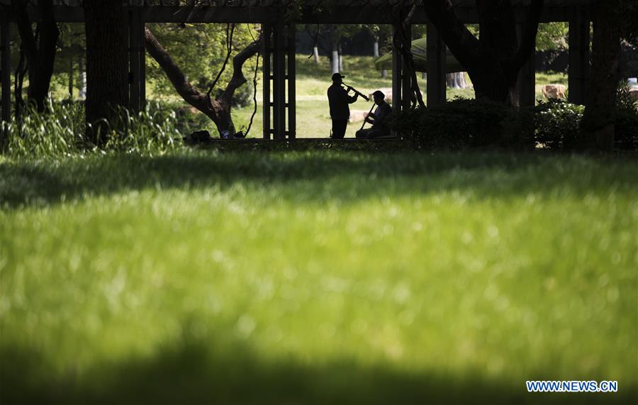 Chine : mélomanes à Wuhan