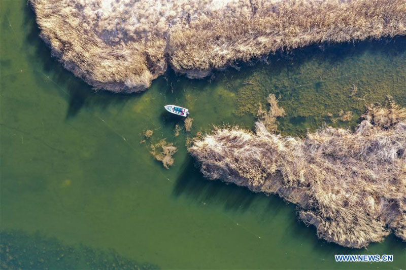 Le personnel d'une réserve naturelle renforce ses patrouilles et ses efforts de protection en Mongolie intérieure
