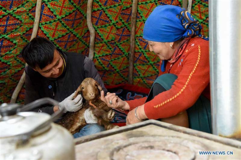 Avec l'arrivée du printemps, les bergers du Xinjiang transfèrent le bétail dans les paturages de printemps