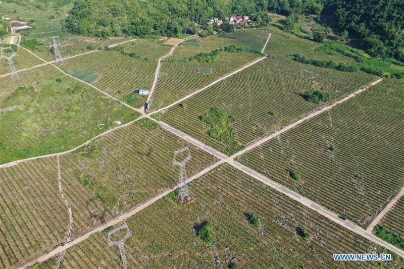 Le Guangxi construit un réseau routier rural à couverture totale reliant tous les cantons et les villages administratifs