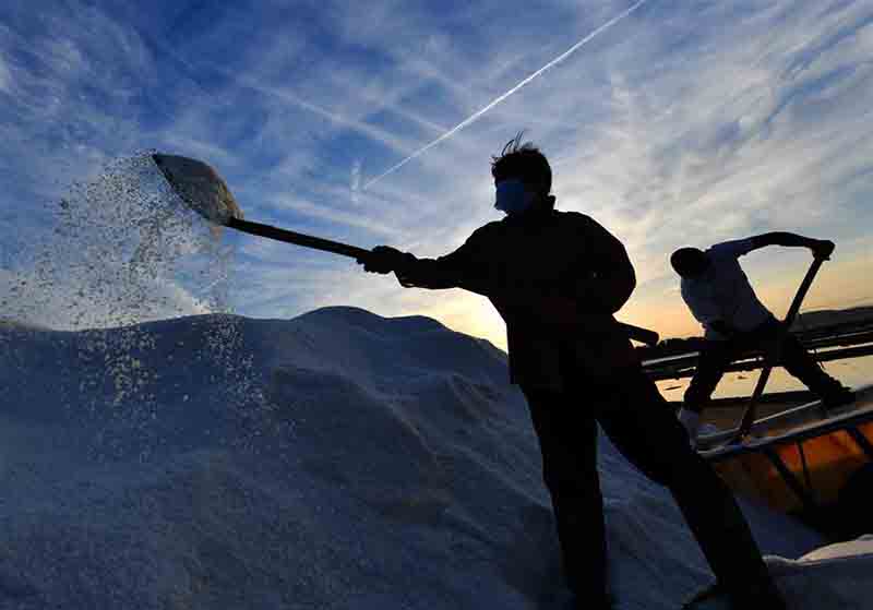 Vue aérienne des salines de Putian, dans la province du Fujian