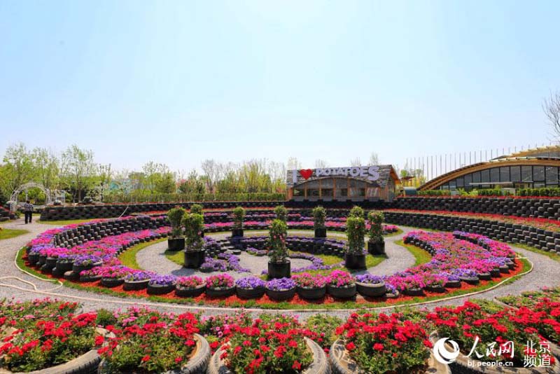 Profitez d'une Exposition mondiale d'horticulture ? éternelle ? à Beijing