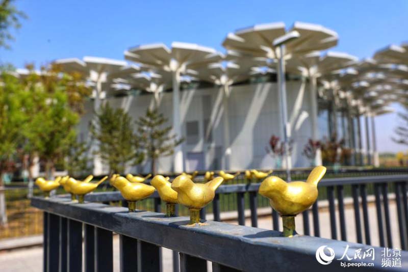 Profitez d'une Exposition mondiale d'horticulture ? éternelle ? à Beijing