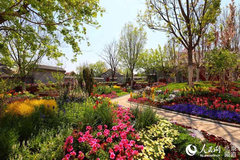 Profitez d'une Exposition mondiale d'horticulture ? éternelle ? à Beijing