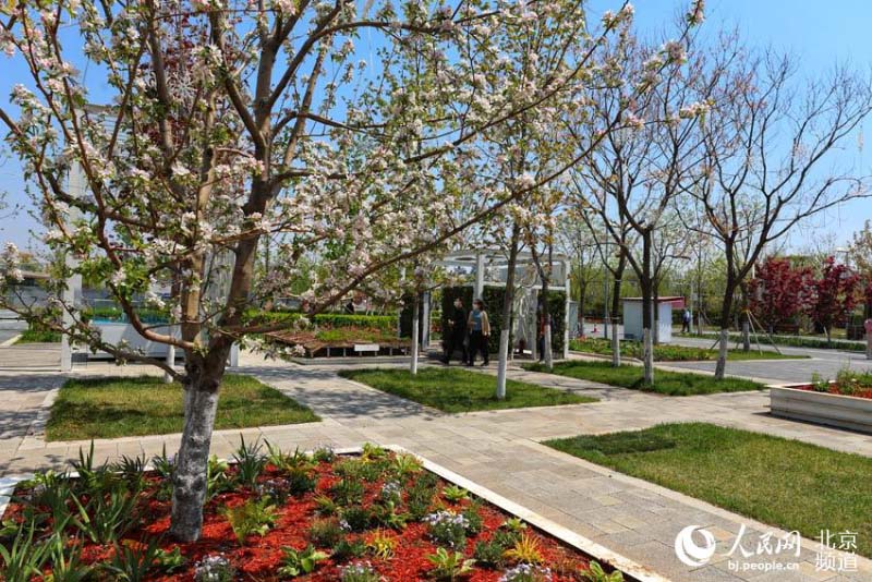 Profitez d'une Exposition mondiale d'horticulture ? éternelle ? à Beijing