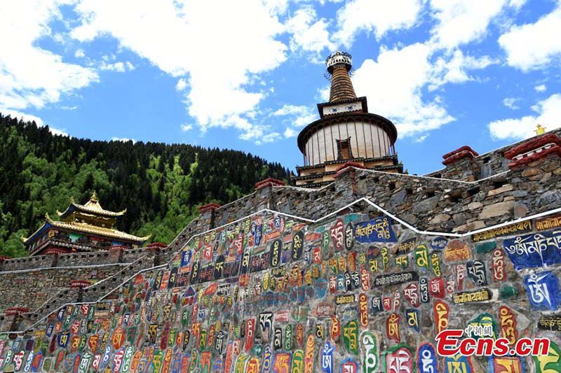 Explorez un parc de pétroglyphes dans le Sichuan