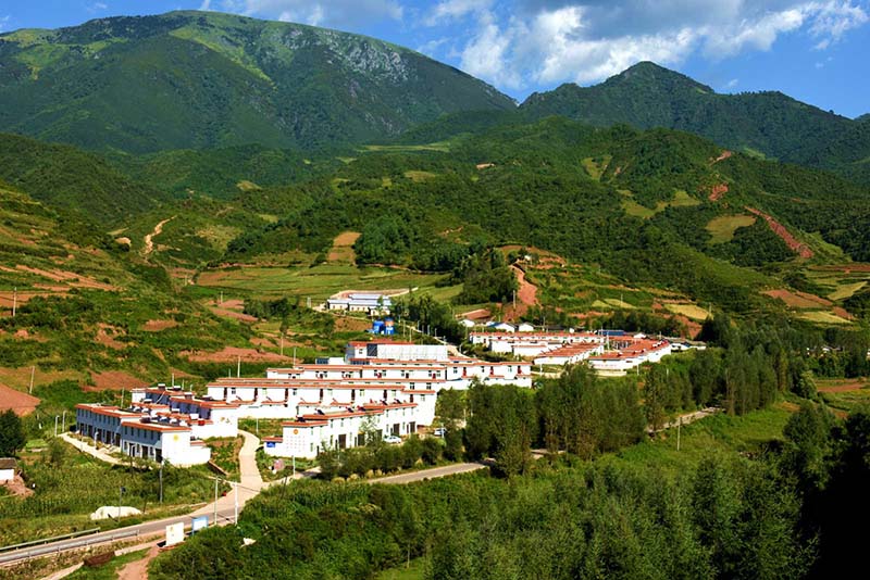 La route vers le bonheur