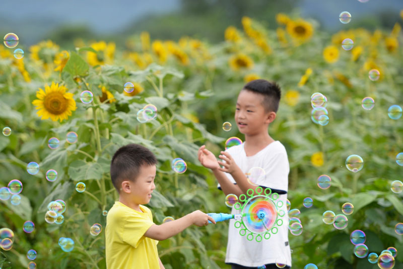 Les 10 meilleures villes de Chine pour 2019 et 2020