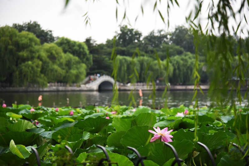 Les 10 meilleures villes de Chine pour 2019 et 2020