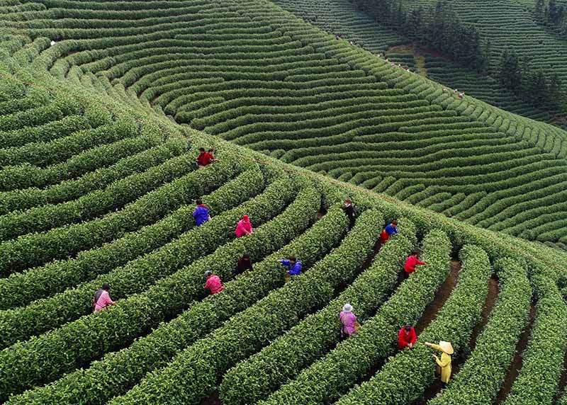 La coopération entre l'Europe et la Chine met en valeur les