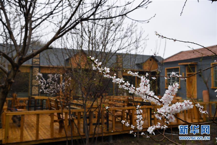 Le Xinjiang adopte diverses mesures pour favoriser la relance du tourisme