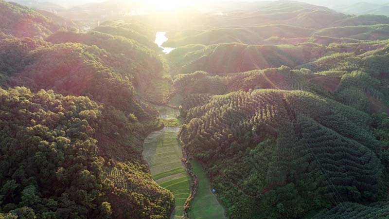 Placée sous le thème de 