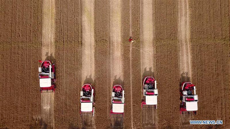 La Fête des récoltes des agriculteurs de Chine co?ncide avec l'équinoxe d'automne