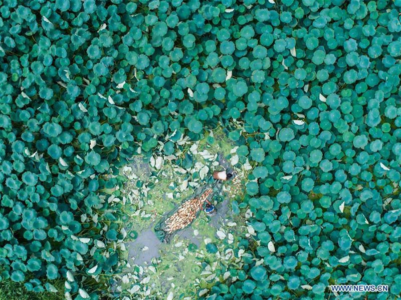 La Fête des récoltes des agriculteurs de Chine co?ncide avec l'équinoxe d'automne